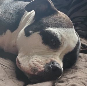 Meet your Posher, Patricia